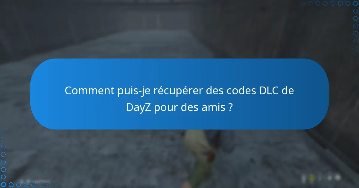 Quelles sont les options de cadeau pour les codes DLC de DayZ ?