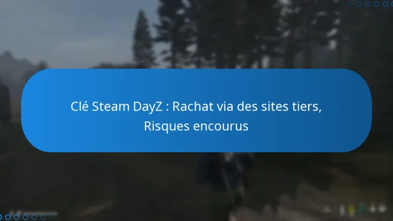 Clé Steam DayZ : Rachat via des sites tiers, Risques encourus