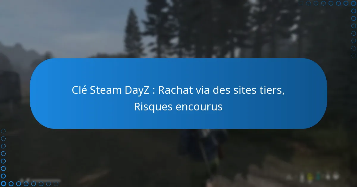 Clé Steam DayZ : Rachat via des sites tiers, Risques encourus
