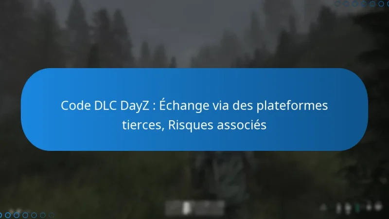 Code DLC DayZ : Échange via des plateformes tierces, Risques associés