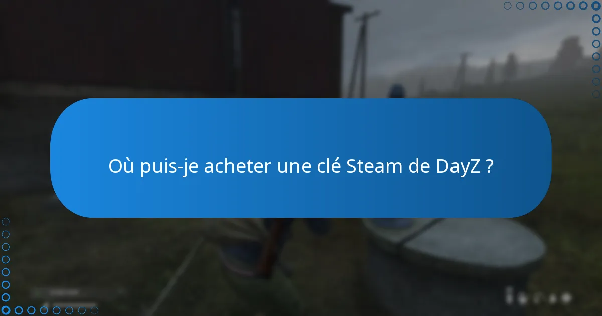 Quelles extensions sont disponibles pour DayZ ?